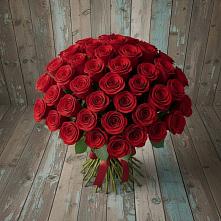 Букет 55 Красных роз Фридом #REPLACE_PRED# Кирове
