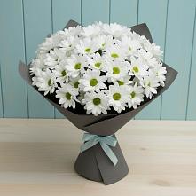 Букет белые хризантемы #REPLACE_PRED# Кирове Букет цветов из:  Хризантемы #REPLACE_PRED# Кирове